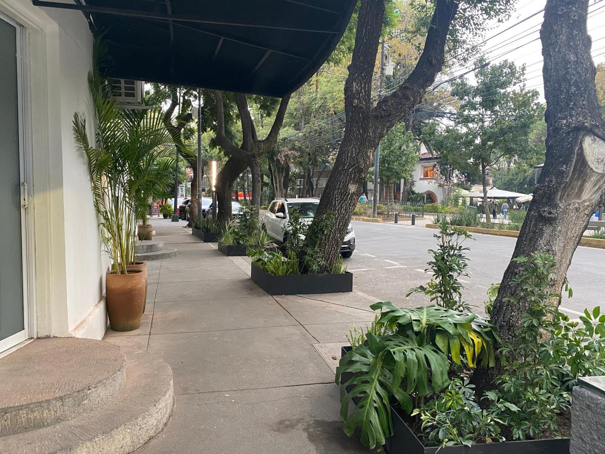 Casa Corp Boutique In Condesa